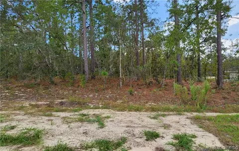 1604 W Gainsboro Ln, Citrus Springs, FL 34434