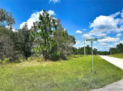 2671 W Redgate Dr, Citrus Springs, FL 34434