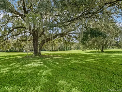 Exterior - 3399 E Rotor Wing Path, Hernando, FL 34442 photo 24 of 32