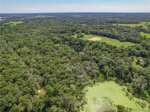 View/Area - 3399 E Rotor Wing Path, Hernando, FL 34442 photo 14 of 15