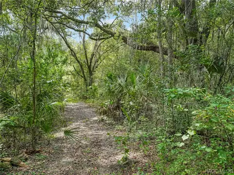 Exterior - 3399 E Rotor Wing Path, Hernando, FL 34442 photo 31 of 32