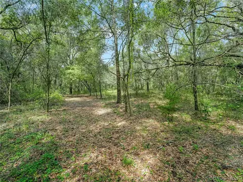 View/Area - 3399 E Rotor Wing Path, Hernando, FL 34442 photo 2 of 15