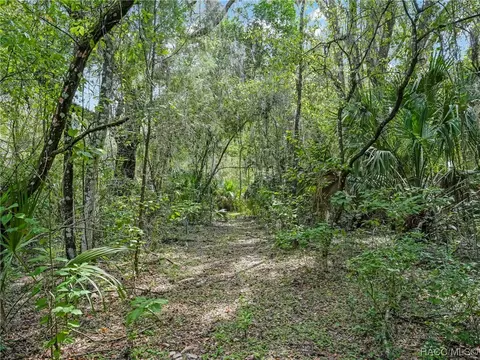Exterior - 3399 E Rotor Wing Path, Hernando, FL 34442 photo 30 of 32