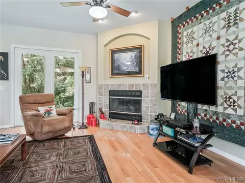 Living - 3399 E Rotor Wing Path, Hernando, FL 34442 photo 4 of 11