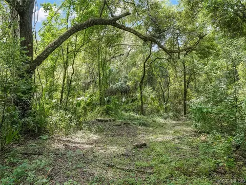 View/Area - 3399 E Rotor Wing Path, Hernando, FL 34442 photo 3 of 15