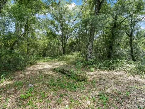 Exterior - 3399 E Rotor Wing Path, Hernando, FL 34442 photo 29 of 32