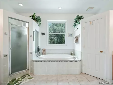Bath - 3399 E Rotor Wing Path, Hernando, FL 34442 photo 1 of 5