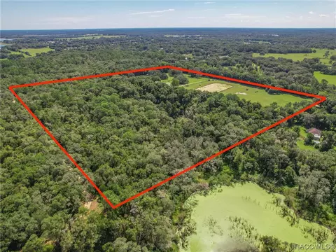 View/Area - 3399 E Rotor Wing Path, Hernando, FL 34442 photo 11 of 15