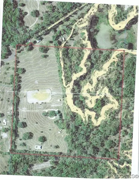 View/Area - 3399 E Rotor Wing Path, Hernando, FL 34442 photo 15 of 15