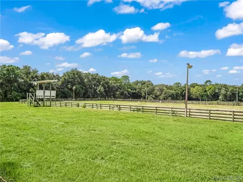 Exterior - 3399 E Rotor Wing Path, Hernando, FL 34442 photo 27 of 32