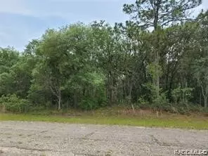 2060 W Conway Dr, Citrus Springs, FL 34434