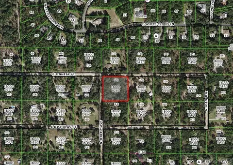 728 E Jinnita St, Hernando, FL 34442 photo 2