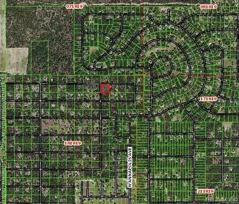 728 E Jinnita St, Hernando, FL 34442 photo 3