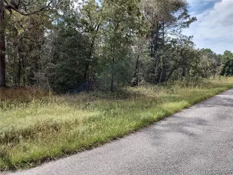 7980 N Pitcairn Way, Citrus Springs, FL 34434