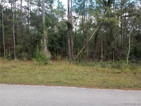1797 Stafford St W, Hernando, FL 34442