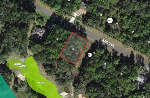10316 N Athenia Dr, Citrus Springs, FL 34434