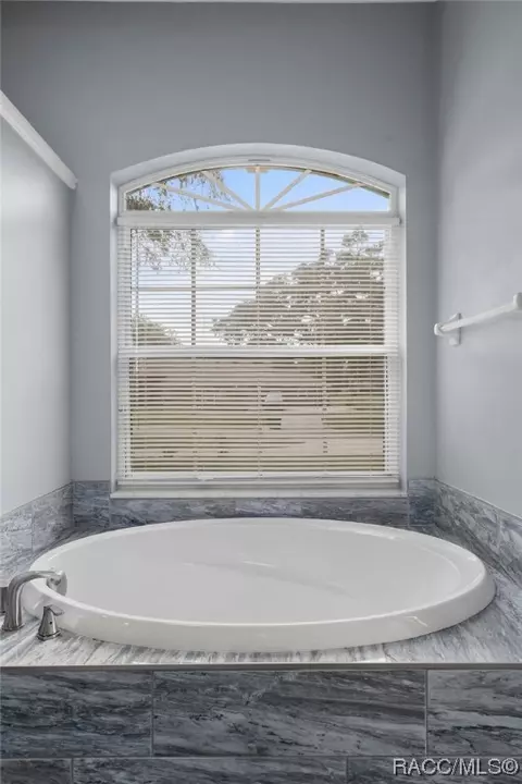 397 E Ireland Ct, Hernando, FL 34442 photo 50
