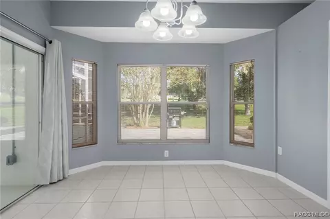 397 E Ireland Ct, Hernando, FL 34442 photo 26