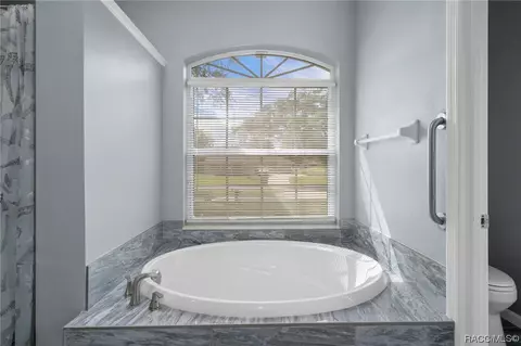 397 E Ireland Ct, Hernando, FL 34442 photo 45