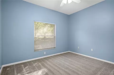 397 E Ireland Ct, Hernando, FL 34442 photo 31