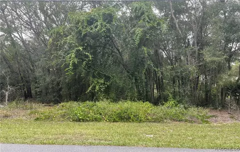 1361 E Mckinley St, Hernando, FL 34442