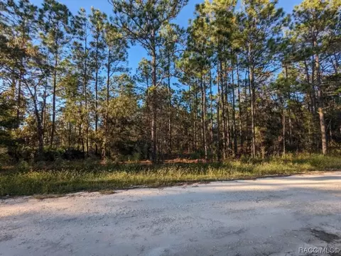 Tbd Sw 52nd Lane Road, Ocala, FL 34481