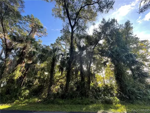 3403 N Olive Ave, Crystal River, FL 34428