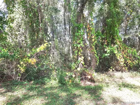 6095 Tudor St, Inverness, FL 34452
