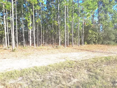 9657 Wayland Ave, Citrus Springs, FL 34434