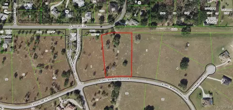 244 N Lake Shendoah Loop, Inverness, FL 34453