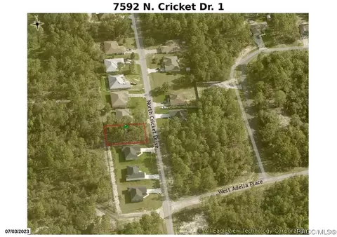 7592 N Cricket Dr, Citrus Springs, FL 34434