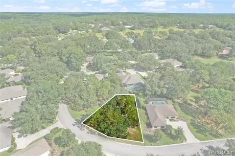 3397 N Bent Tree Pt, Lecanto, FL 34461