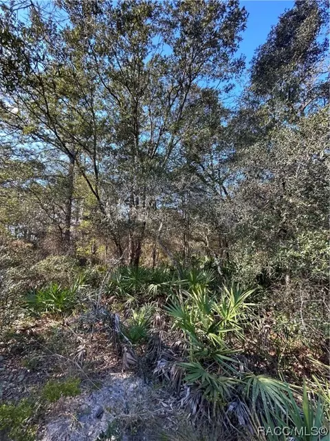 11752 W Acacia Dr, Crystal River, FL 34428