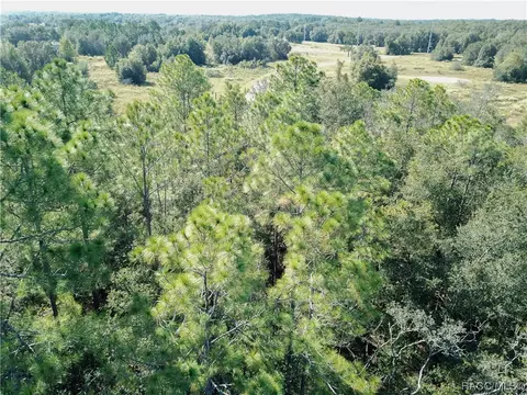 389 E Mc Faddin Pl, Citrus Springs, FL 34434