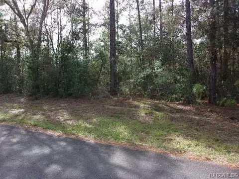 12322 S Daffodil Pt, Floral City, FL 34436