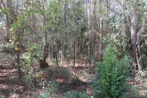 00 SW 174 Ave, Dunnellon, FL 34432