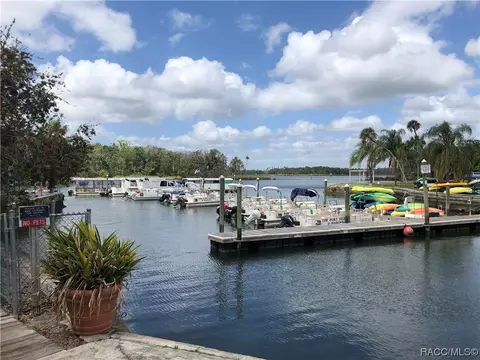 6227 W Glynborne Loop, Crystal River, FL 34429 photo 38