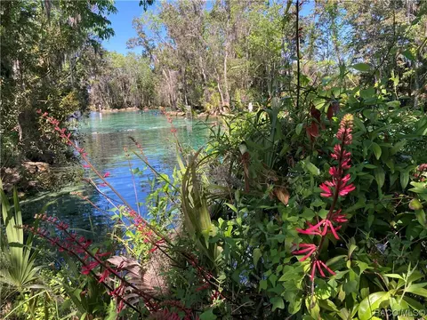 6227 W Glynborne Loop, Crystal River, FL 34429 photo 44