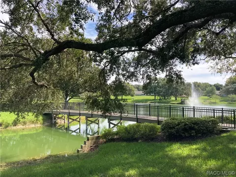 6227 W Glynborne Loop, Crystal River, FL 34429 photo 28