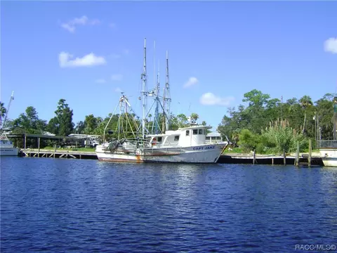 6227 W Glynborne Loop, Crystal River, FL 34429 photo 41