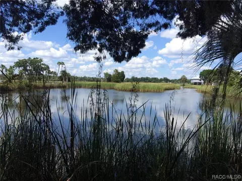6227 W Glynborne Loop, Crystal River, FL 34429 photo 40