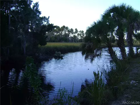 6227 W Glynborne Loop, Crystal River, FL 34429 photo 47