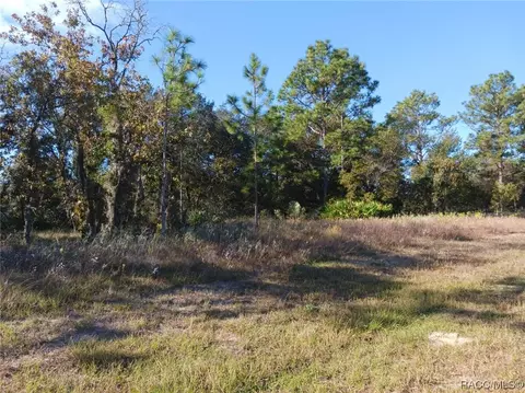 3510 W Hampshire Blvd, Citrus Springs, FL 34433