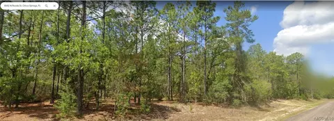 8692 N Ronda Dr, Citrus Springs, FL 34433