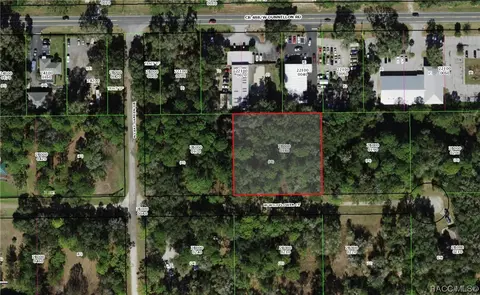 2217 W Wildflower Ct, Dunnellon, FL 34434