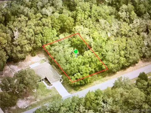 419 W Mac Pl, Citrus Springs, FL 34433