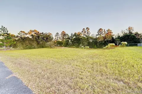 2384 E Norvell Bryant Hwy, Hernando, FL 34442 photo 2