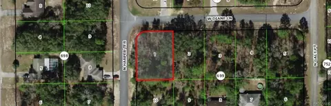 2598 W Diane Ln, Citrus Springs, FL 34434