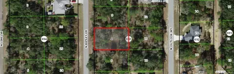 7209 N Ripley Dr, Citrus Springs, FL 34433