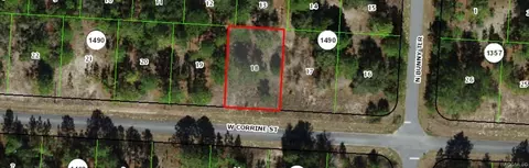 1985 W Corrine St, Citrus Springs, FL 34434